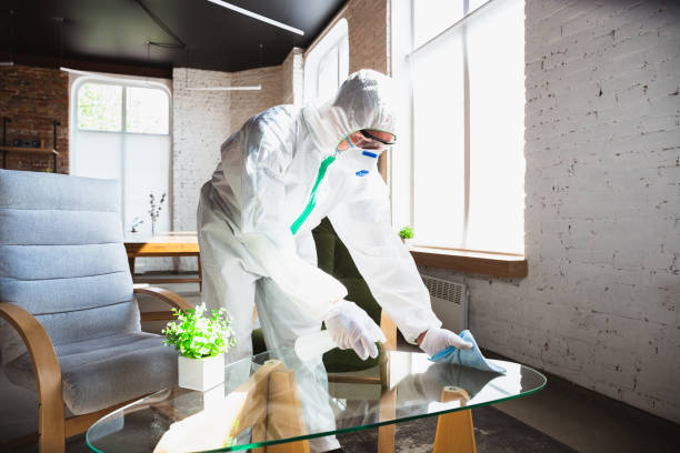 Trusted University At Buffalo, NY Mold Removal Experts